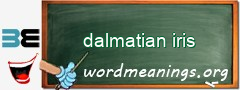 WordMeaning blackboard for dalmatian iris